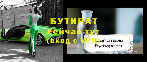 индика Богородск