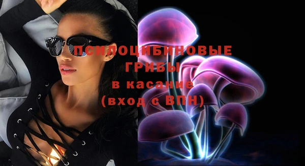 прущие крисы Богданович