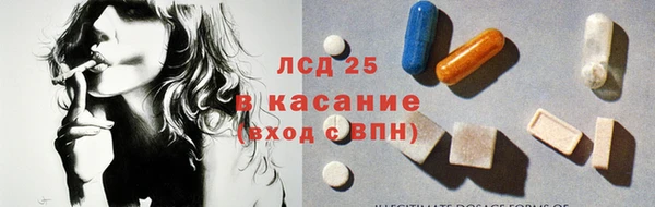 индика Богородск