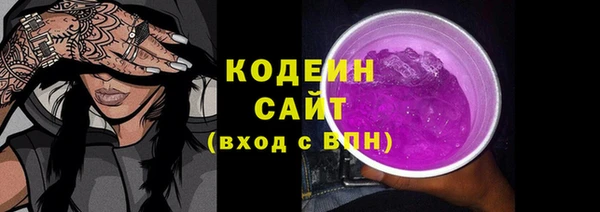 индика Богородск