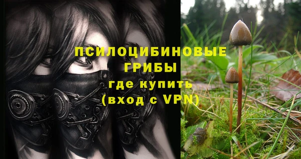 Альфа ПВП Богородицк