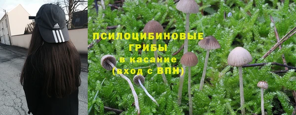 прущие крисы Богданович