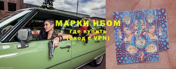 индика Богородск