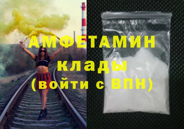 индика Богородск