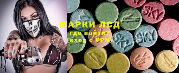 индика Богородск