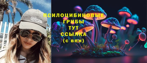 индика Богородск