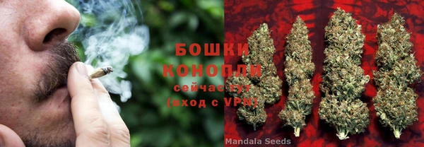 прущие крисы Богданович