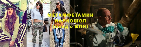 индика Богородск