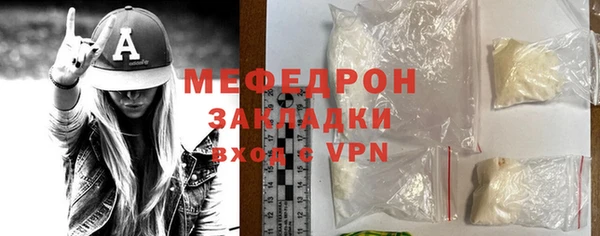 индика Богородск