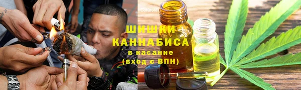 Альфа ПВП Богородицк
