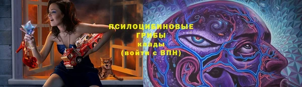 Альфа ПВП Богородицк